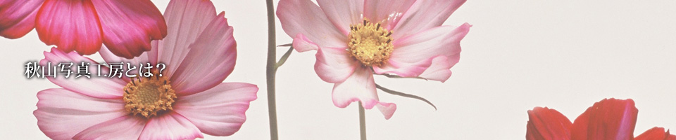 秋山写真工房とは？