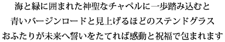 みなとみらいで叶える幸せな美しいひととき・・・。 その瞬間を心をこめて撮影いたします。